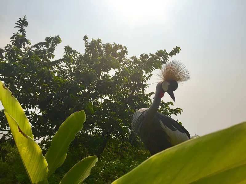 Burundi